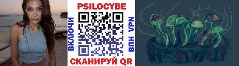 где купить наркотик Салехард Псилоцибиновые грибы Cubensis